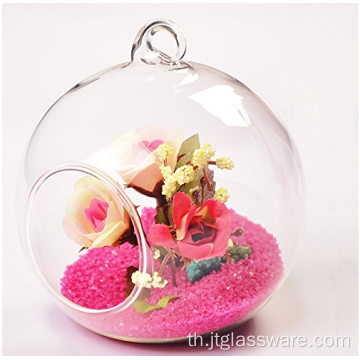 Terrariums Terrariums Airplant แก้วเป่าเป่าปาก